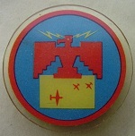 Plastic Thunderbird Field Badge (Submitted by Fred Lopez) Plastic Thunderbird Field Badge (Submitted by Fred Lopez)